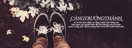 stt-truong-thanh-4 stt trưởng thành