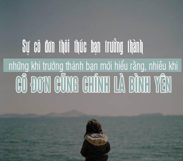 stt chia tay