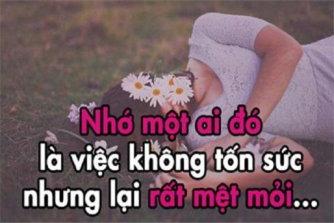 stt-nho-crush4