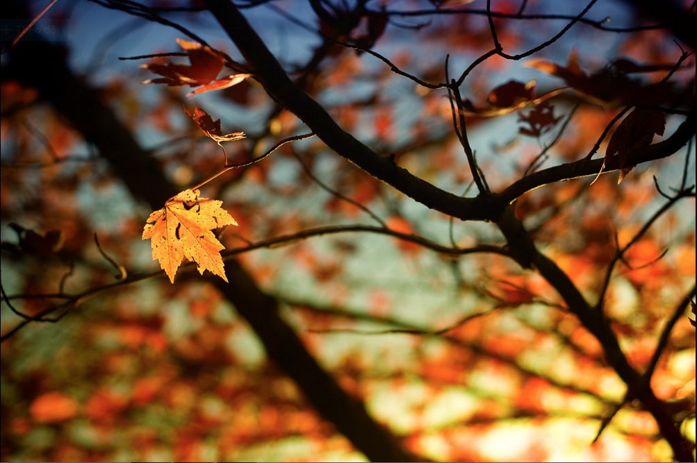 hinh-anh-thang-8-8 hình ảnh tháng 8