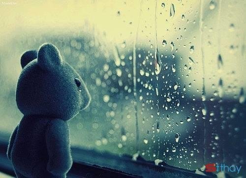 Viết ra đây những Stt mưa lạnh em xót xa trong nỗi nhớ anh thật nhiều